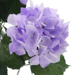 Best Pirce ✨ 12 Pack: Purple Hydrangea Bush by Ashland® 😀 -Ashland Shop 10677449 3 1