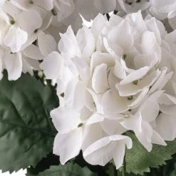 Best Sale ⭐ White Hydrangea Bush by Ashland® 🎁 -Ashland Shop 10677450 20