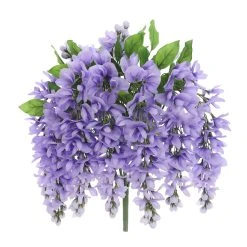 Budget 🧨 12 Pack: Purple Wisteria Bush by Ashland® 👏