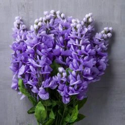 Budget 🧨 12 Pack: Purple Wisteria Bush by Ashland® 👏 -Ashland Shop 10677451 22 1