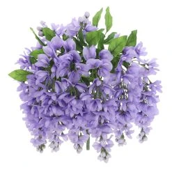 Budget 🧨 12 Pack: Purple Wisteria Bush by Ashland® 👏 -Ashland Shop 10677451 5 1