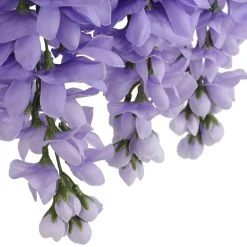 Budget 🧨 12 Pack: Purple Wisteria Bush by Ashland® 👏 -Ashland Shop 10677451 6 1