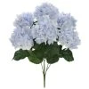 Best reviews of ❤️ Light Blue Hydrangea Bush by Ashland® 🥰 -Ashland Shop 10677452 1 1
