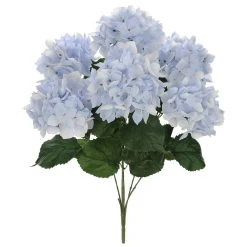 Best reviews of ❤️ Light Blue Hydrangea Bush by Ashland® 🥰