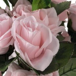 New 🔥 12 Pack: Pink Rose Bush by Ashland® 😀 -Ashland Shop 10677454 20