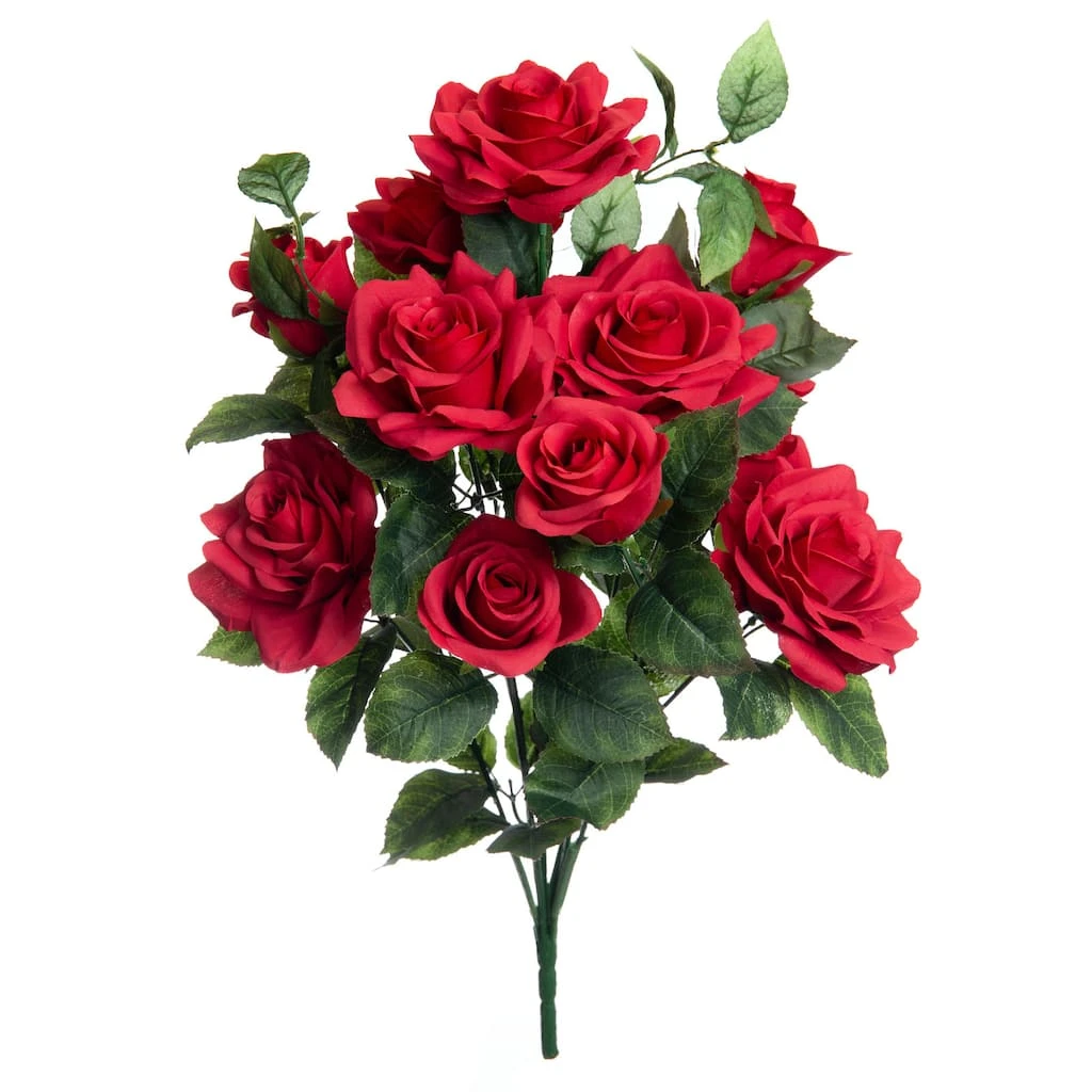 Best reviews of ⌛ 12 Pack: Red Rose Bush by Ashland® ✨ 3 Best reviews of ⌛ 12 Pack: Red Rose Bush by Ashland® ✨