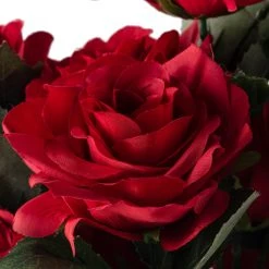 Promo 🌟 Red Rose Bush by Ashland® 🎁 -Ashland Shop 10677456 20