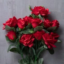 Promo 🌟 Red Rose Bush by Ashland® 🎁 -Ashland Shop 10677456 22