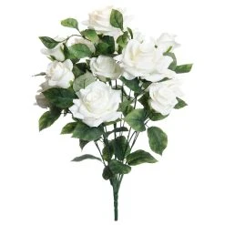 Best reviews of 💯 White Rose Bush by Ashland® ❤️