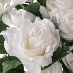 Best reviews of 💯 White Rose Bush by Ashland® ❤️ -Ashland Shop 10677458 20