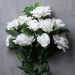 Best reviews of 💯 White Rose Bush by Ashland® ❤️ -Ashland Shop 10677458 22
