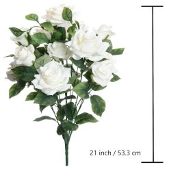 Best reviews of 💯 White Rose Bush by Ashland® ❤️ -Ashland Shop 10677458 3
