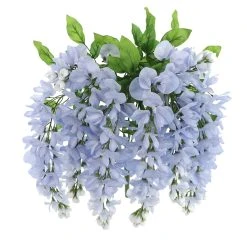 Best Pirce ✔️ Blue Wisteria Bush by Ashland® 😍 -Ashland Shop 10677460 5