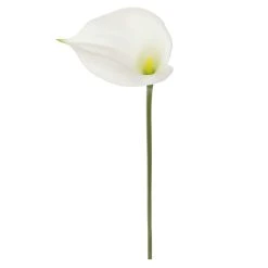 Outlet 🥰 White Calla Lily Stem by Ashland® 😉 -Ashland Shop 10679176 2