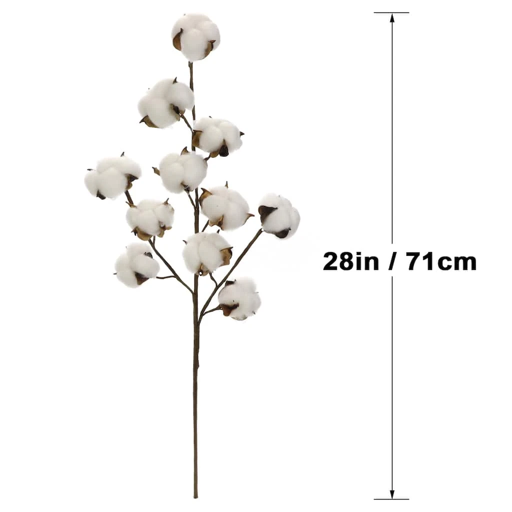 Coupon ⌛ Cotton Stem by Ashland® 👍 6 Coupon ⌛ Cotton Stem by Ashland® 👍 - Image 4