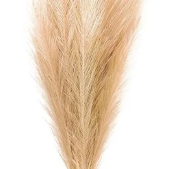 Budget ❤️ Wispy Pampas Grass Stem by Ashland® ✨ -Ashland Shop 10679178 2