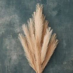 Budget ❤️ Wispy Pampas Grass Stem by Ashland® ✨ -Ashland Shop 10679178 20