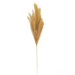 Budget ❤️ Wispy Pampas Grass Stem by Ashland® ✨ -Ashland Shop 10679178 3