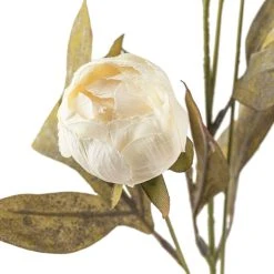 Wholesale ⌛ Cream Peony Stem by Ashland® ✔️ -Ashland Shop 10679180 20