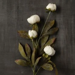 Wholesale ⌛ Cream Peony Stem by Ashland® ✔️ -Ashland Shop 10679180 25