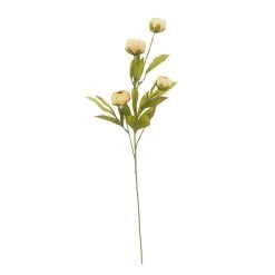 Deals 🥰 Tan Peony Stem by Ashland® 😀