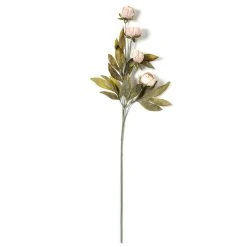 Deals 🥰 Tan Peony Stem by Ashland® 😀 -Ashland Shop 10679183 21