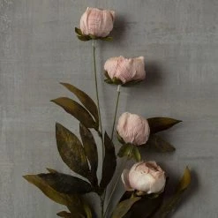 Deals 🥰 Tan Peony Stem by Ashland® 😀 -Ashland Shop 10679183 25