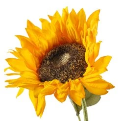 Discount 🔔 Gold Sunflower Stem by Ashland® 🔔 -Ashland Shop 10679186 20