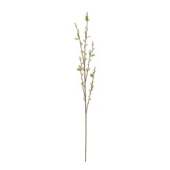 Cheapest ⭐ 16 Pack: Cream Willow Branch Stem by Ashland® ⭐