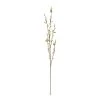Hot Sale ⭐ Cream Willow Branch Stem by Ashland® 🔥 -Ashland Shop 10679192 1