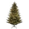 Budget 🎁 7.5ft. Pre-Lit Fraser Fir Artificial Christmas Tree, Clear Lights by Ashland® ✨ 1 Budget 🎁 7.5ft. Pre-Lit Fraser Fir Artificial Christmas Tree, Clear Lights by Ashland® ✨ -Ashland Shop 10694592 1