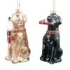 Discount 🎁 Assorted 4" Glass Lab 🥰 Dog Ornament by Ashland® ❄ Christmas ⭐ -Ashland Shop 10697622 1