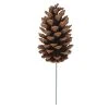 Best Sale 🧨 Pinecone Pick by Ashland® ❤️ -Ashland Shop 10698756 1