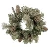 Deals 🥰 12" Flocked Pine & Pinecone Wreath by Ashland® Christmas 🎁 -Ashland Shop 10698877 1