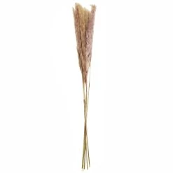 Discount 🌟 6 Pack: Mini Natural Brown Pampas Bunch by Ashland® ⭐