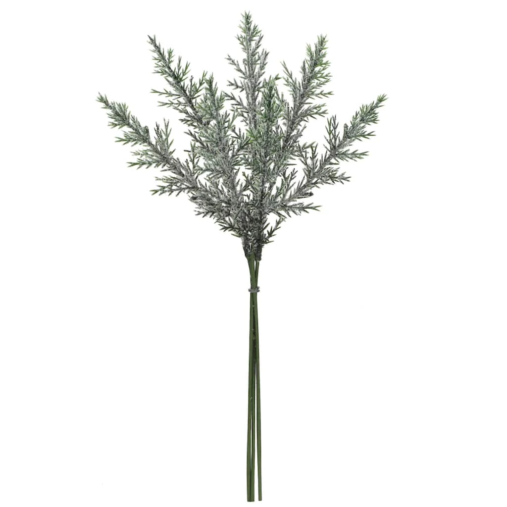 Coupon π Assorted Mini Cedar Bundle by Ashland® π 4 Coupon π Assorted Mini Cedar Bundle by Ashland® π - Image 2