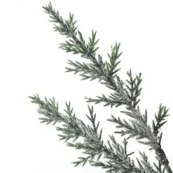 Coupon π Assorted Mini Cedar Bundle by Ashland® π 11 Coupon π Assorted Mini Cedar Bundle by Ashland® π -Ashland Shop 10698900 3