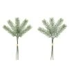 Coupon ⌛ Assorted Mini Pine Bundle by Ashland® ✨ -Ashland Shop 10698904 1