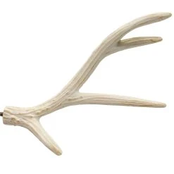 Best Sale β€οΈ Assorted Deer Antler Pick by Ashland® π 13 Best Sale β€οΈ Assorted Deer Antler Pick by Ashland® π -Ashland Shop 10699100 4