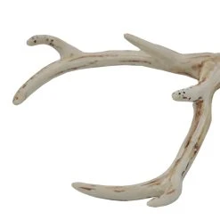Best Sale β€οΈ Assorted Deer Antler Pick by Ashland® π 16 Best Sale β€οΈ Assorted Deer Antler Pick by Ashland® π -Ashland Shop 10699100 7