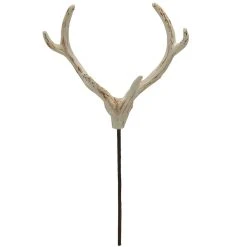 Best Sale β€οΈ Assorted Deer Antler Pick by Ashland® π 17 Best Sale β€οΈ Assorted Deer Antler Pick by Ashland® π -Ashland Shop 10699100 8
