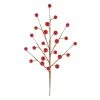 Hot Sale ✔️ Shiny Red Berry Pick by Ashland® 🧨 -Ashland Shop 10699135 1