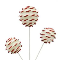 Coupon ✔️ White Twine Balls Pick by Ashland® 🎉 -Ashland Shop 10699142 2