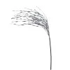 Budget 💯 Silver Grass Pick by Ashland® ✨ -Ashland Shop 10699306 1