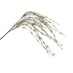 Buy ⌛ Champagne Grass Pick by Ashland® ✔️ 6 Buy ⌛ Champagne Grass Pick by Ashland® ✔️ -Ashland Shop 10699310 2
