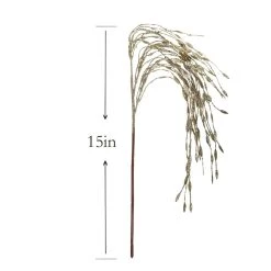 Buy ⌛ Champagne Grass Pick by Ashland® ✔️ 7 Buy ⌛ Champagne Grass Pick by Ashland® ✔️ -Ashland Shop 10699310 3