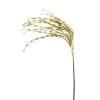 Flash Sale ❤️ Gold Grass Pick by Ashland® ⌛ 1 Flash Sale ❤️ Gold Grass Pick by Ashland® ⌛ -Ashland Shop 10699314 1