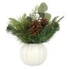 Cheap ✔️ 11" Pine Needle & Pinecone Arrangement in Ceramic Pot by Ashland® ✔️ -Ashland Shop 10699347 1