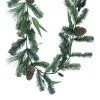Promo ⌛ 6ft. Snow Pine with Blueberries Garland by Ashland® ⭐