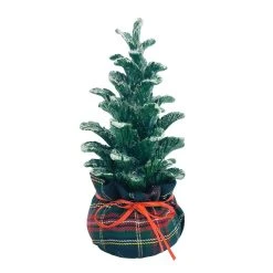 Top 10 ✔️ 8'' Small ✨ Christmas Tree with Base Tabletop Décor by Ashland® 😀